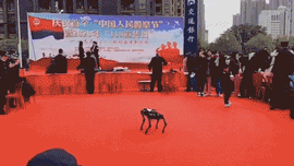 1610430522494066.gif 1610430522494066.gif